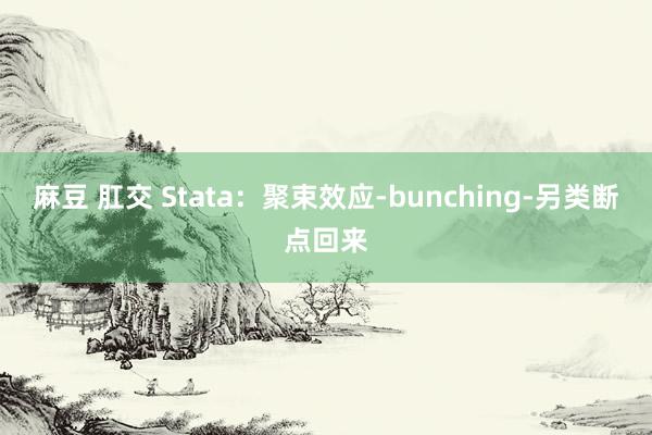 麻豆 肛交 Stata：聚束效应-bunching-另类断点回来