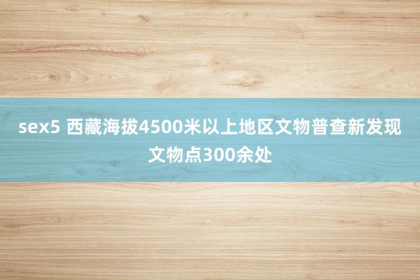 sex5 西藏海拔4500米以上地区文物普查新发现文物点300余处