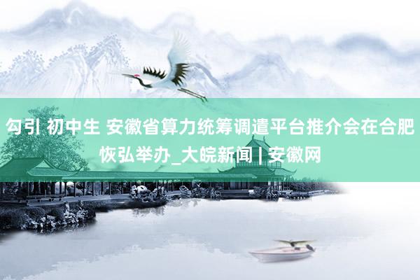 勾引 初中生 安徽省算力统筹调遣平台推介会在合肥恢弘举办_大皖新闻 | 安徽网