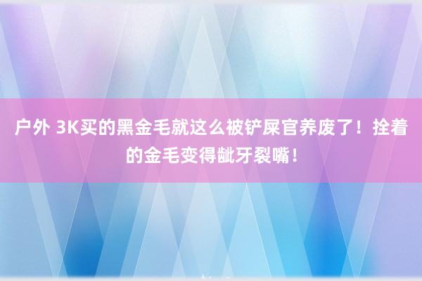 户外 3K买的黑金毛就这么被铲屎官养废了！拴着的金毛变得龇牙裂嘴！