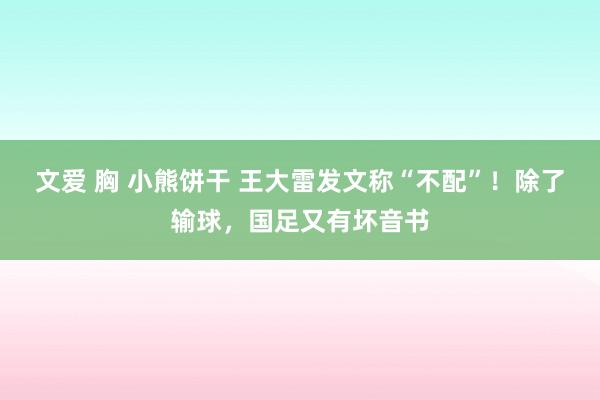 文爱 胸 小熊饼干 王大雷发文称“不配”！除了输球，国足又有坏音书