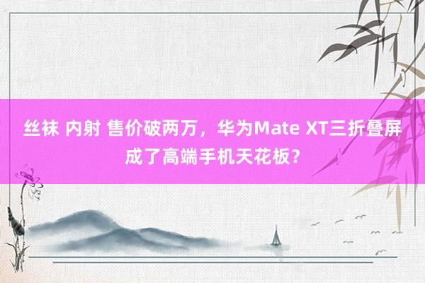 丝袜 内射 售价破两万，华为Mate XT三折叠屏成了高端手机天花板？