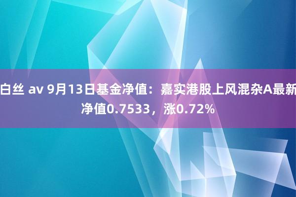 白丝 av 9月13日基金净值：嘉实港股上风混杂A最新净值0.7533，涨0.72%