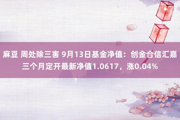 麻豆 周处除三害 9月13日基金净值：创金合信汇嘉三个月定开最新净值1.0617，涨0.04%