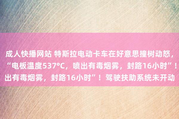 成人快播网站 特斯拉电动卡车在好意思撞树动怒，用了190吨水才扑灭！“电板温度537°C，喷出有毒烟雾，封路16小时”！驾驶扶助系统未开动