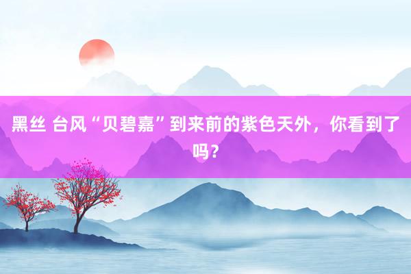 黑丝 台风“贝碧嘉”到来前的紫色天外，你看到了吗？