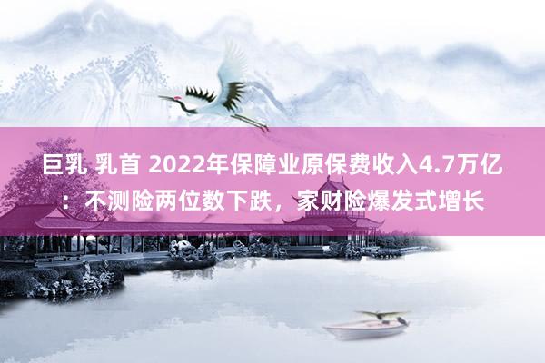 巨乳 乳首 2022年保障业原保费收入4.7万亿：不测险两位数下跌，家财险爆发式增长