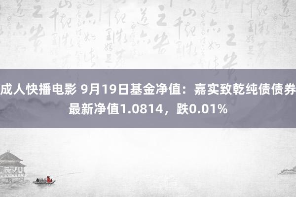 成人快播电影 9月19日基金净值：嘉实致乾纯债债券最新净值1.0814，跌0.01%