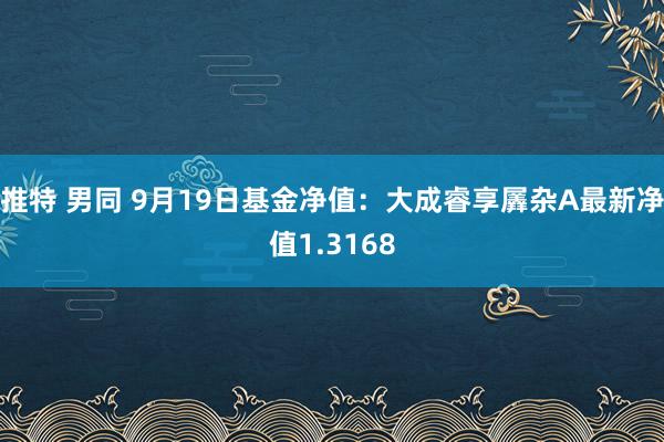 推特 男同 9月19日基金净值：大成睿享羼杂A最新净值1.3168