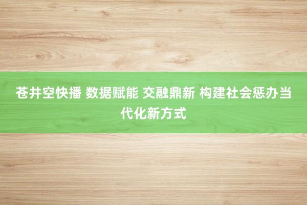 苍井空快播 数据赋能 交融鼎新 构建社会惩办当代化新方式