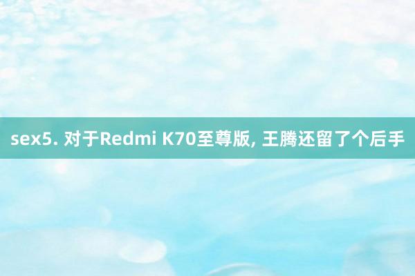 sex5. 对于Redmi K70至尊版， 王腾还留了个后手