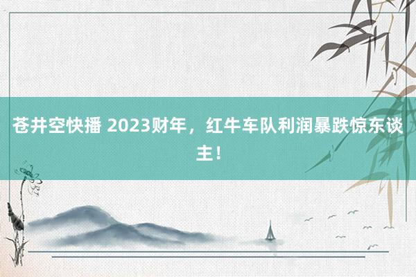 苍井空快播 2023财年，红牛车队利润暴跌惊东谈主！