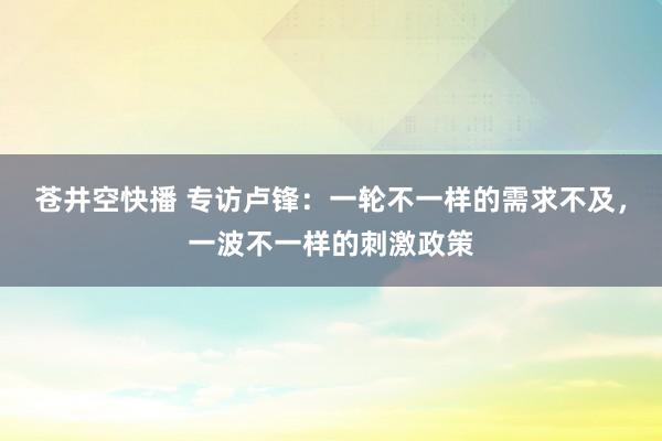 苍井空快播 专访卢锋：一轮不一样的需求不及，一波不一样的刺激政策