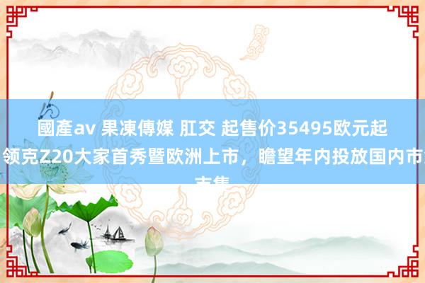 國產av 果凍傳媒 肛交 起售价35495欧元起，领克Z20大家首秀暨欧洲上市，瞻望年内投放国内市集