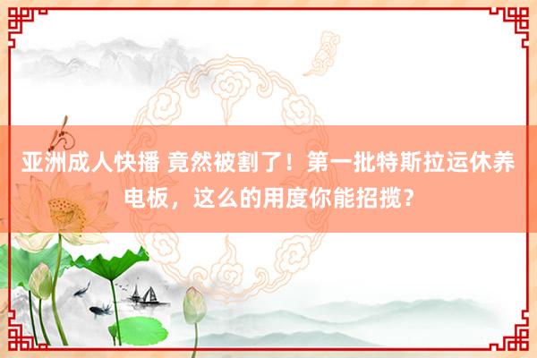 亚洲成人快播 竟然被割了！第一批特斯拉运休养电板，这么的用度你能招揽？