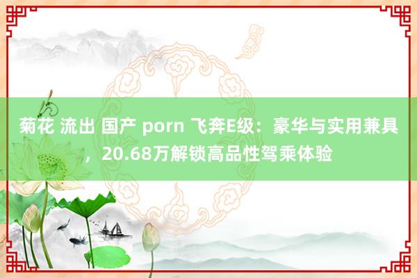 菊花 流出 国产 porn 飞奔E级：豪华与实用兼具，20.68万解锁高品性驾乘体验