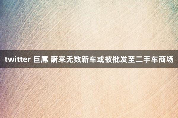 twitter 巨屌 蔚来无数新车或被批发至二手车商场