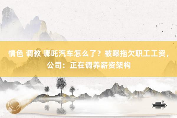 情色 调教 哪吒汽车怎么了？被曝拖欠职工工资，公司：正在调养薪资架构