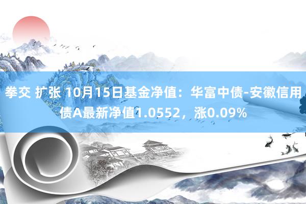 拳交 扩张 10月15日基金净值：华富中债-安徽信用债A最新净值1.0552，涨0.09%