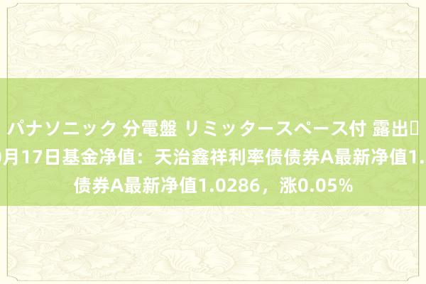 パナソニック 分電盤 リミッタースペース付 露出・半埋込両用形 10月17日基金净值：天治鑫祥利率债债券A最新净值1.0286，涨0.05%