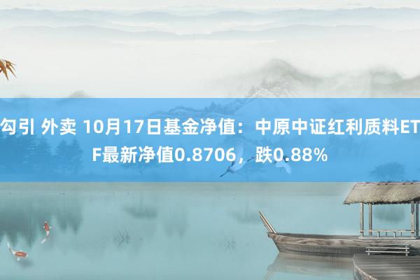 勾引 外卖 10月17日基金净值：中原中证红利质料ETF最新净值0.8706，跌0.88%