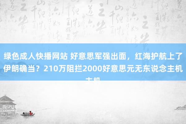 绿色成人快播网站 好意思军强出面，红海护航上了伊朗确当？210万阻拦2000好意思元无东说念主机