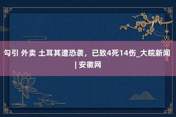 勾引 外卖 土耳其遭恐袭，已致4死14伤_大皖新闻 | 安徽网