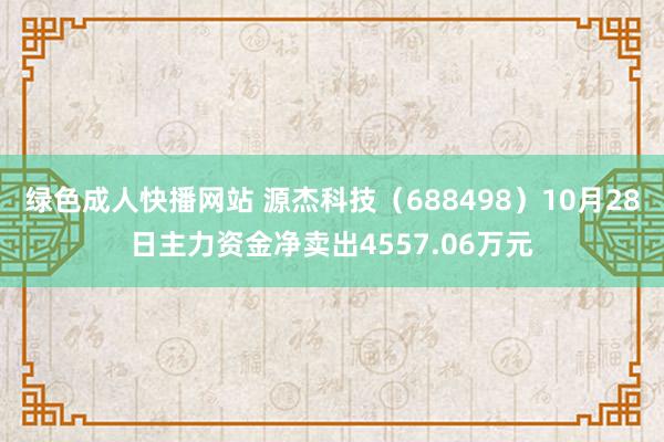 绿色成人快播网站 源杰科技（688498）10月28日主力资金净卖出4557.06万元