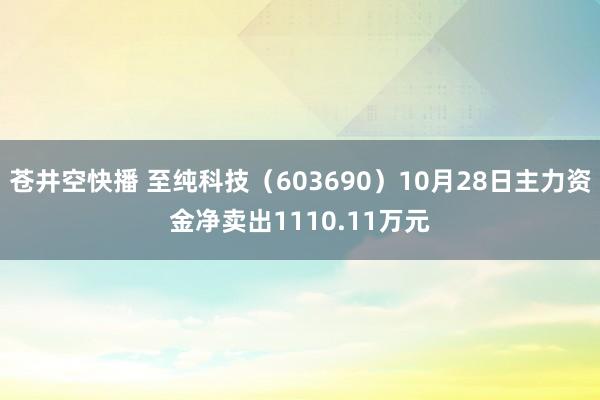 苍井空快播 至纯科技（603690）10月28日主力资金净卖出1110.11万元