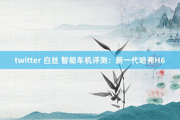 twitter 白丝 智能车机评测：新一代哈弗H6