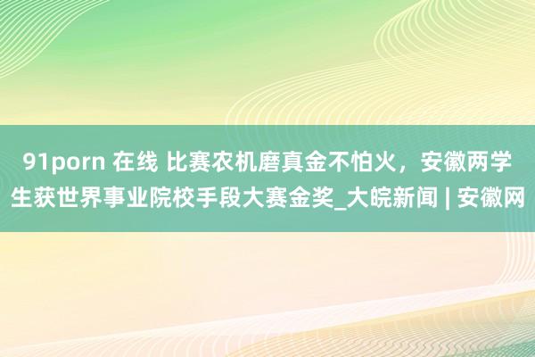 91porn 在线 比赛农机磨真金不怕火，安徽两学生获世界事业院校手段大赛金奖_大皖新闻 | 安徽网