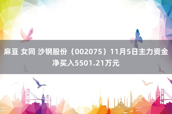 麻豆 女同 沙钢股份（002075）11月5日主力资金净买入5501.21万元