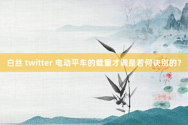 白丝 twitter 电动平车的载重才调是若何诀别的？